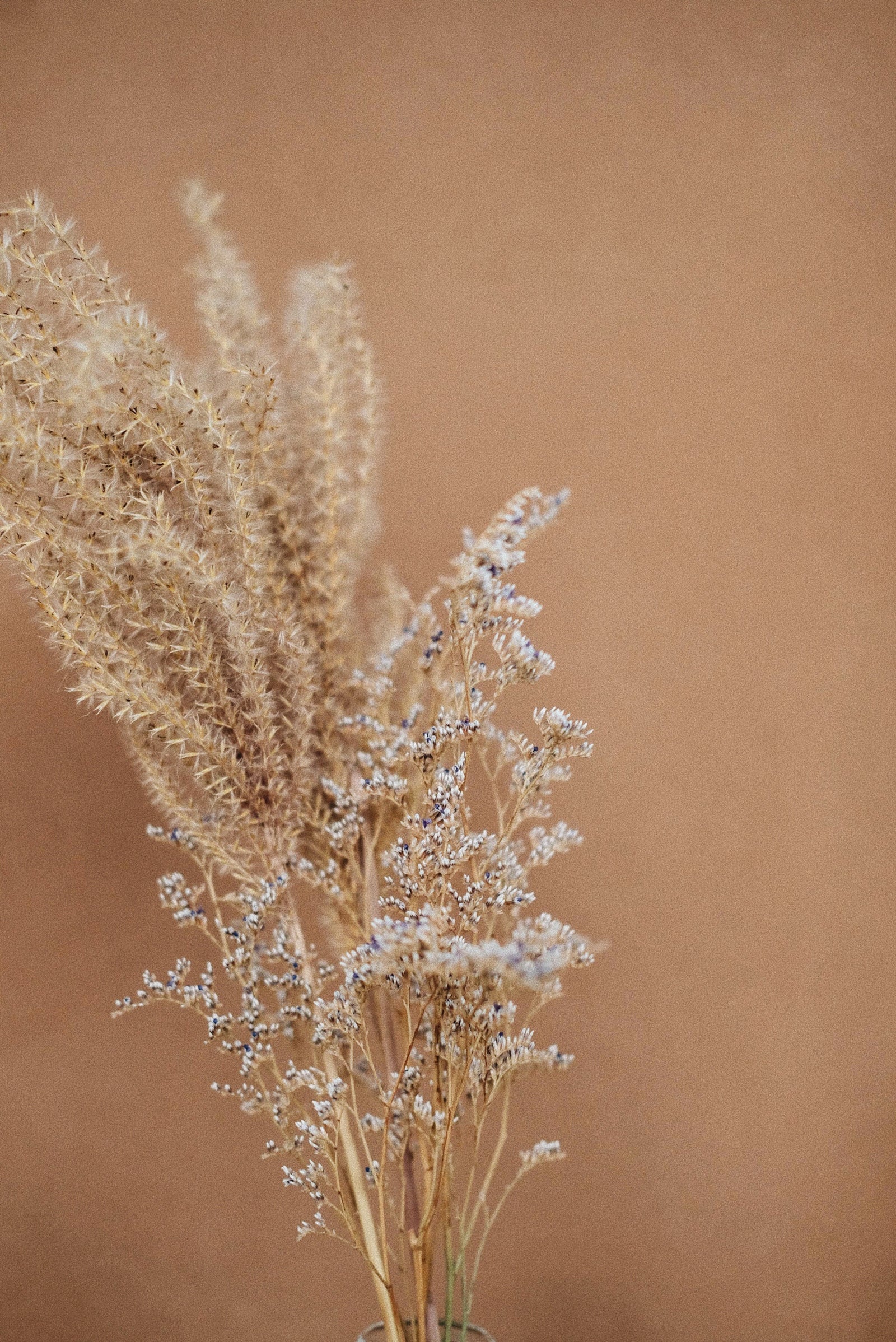 5 Best Anti-Aging Skincare Products