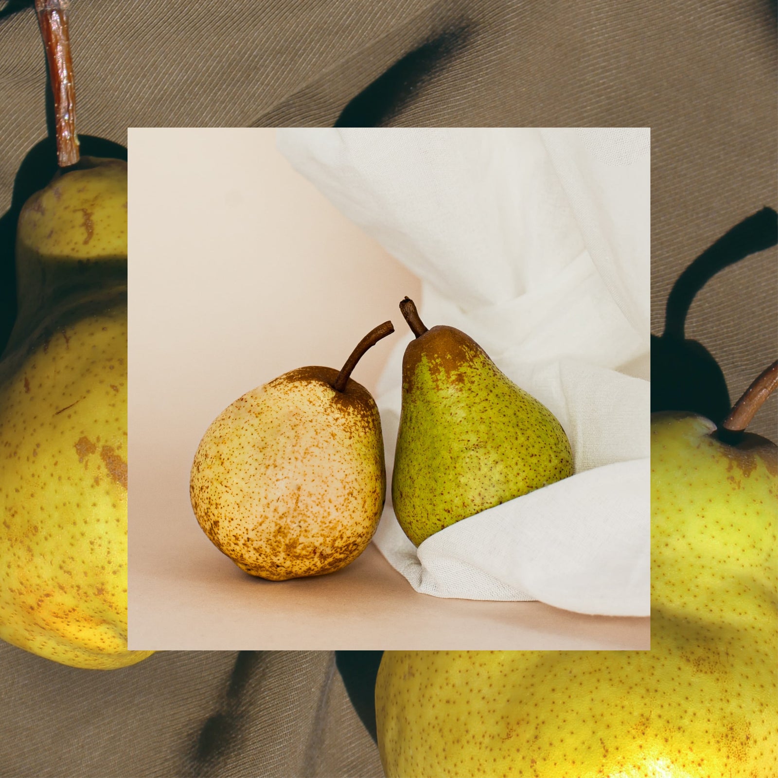 Bartlett Pear